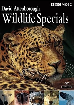 Wildlife Specials (1995) — affiche série
