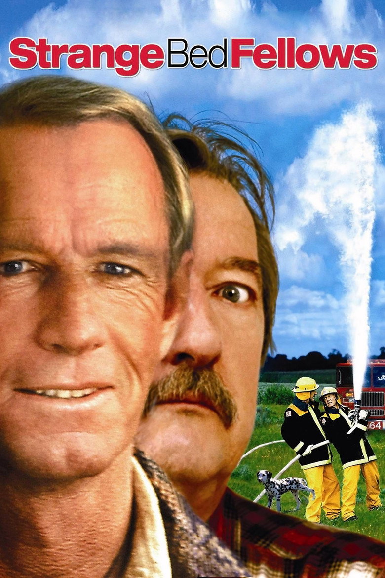 Strange Bedfellows (2004) — affiche film et bande-annonce
