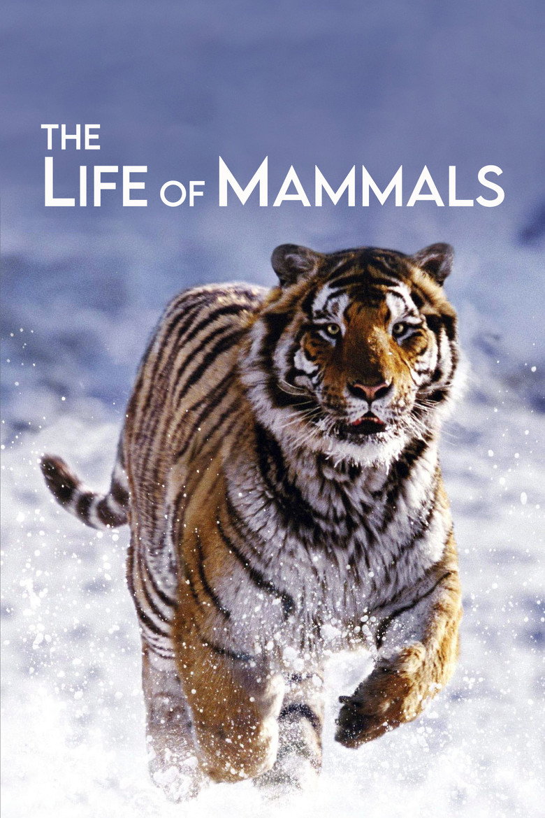 The Life of Mammals (2002) — affiche série et bande-annonce