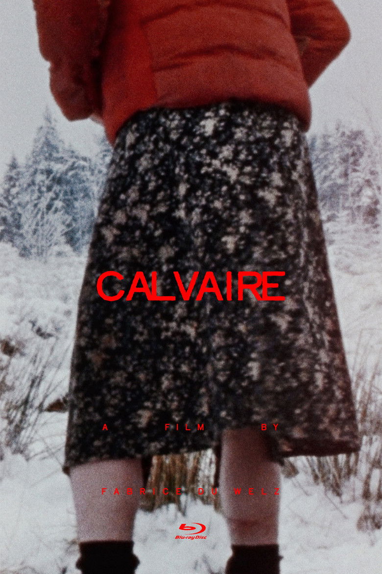 Calvaire (2004) — affiche film et bande-annonce