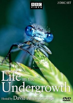 Life in the Undergrowth (2005) — affiche série et bande-annonce