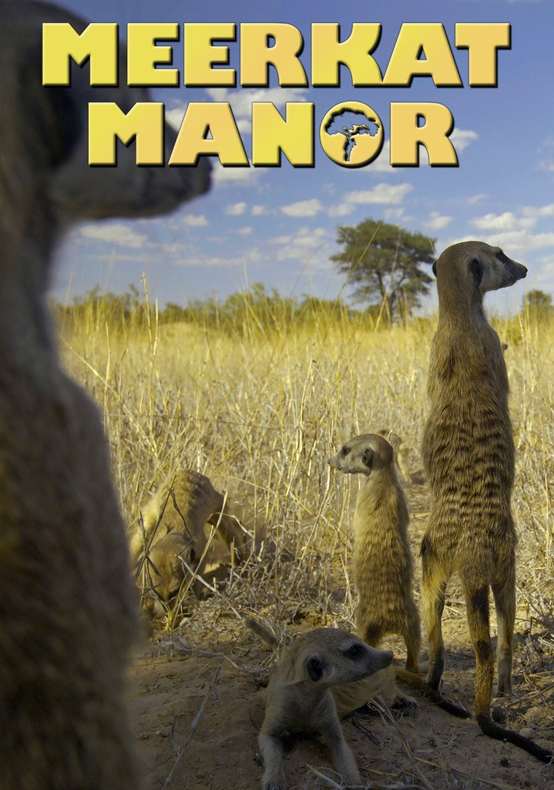 Meerkat Manor (2005) — affiche série