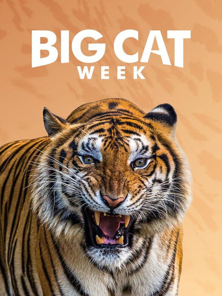 Big Cat Diary (1996) — affiche série