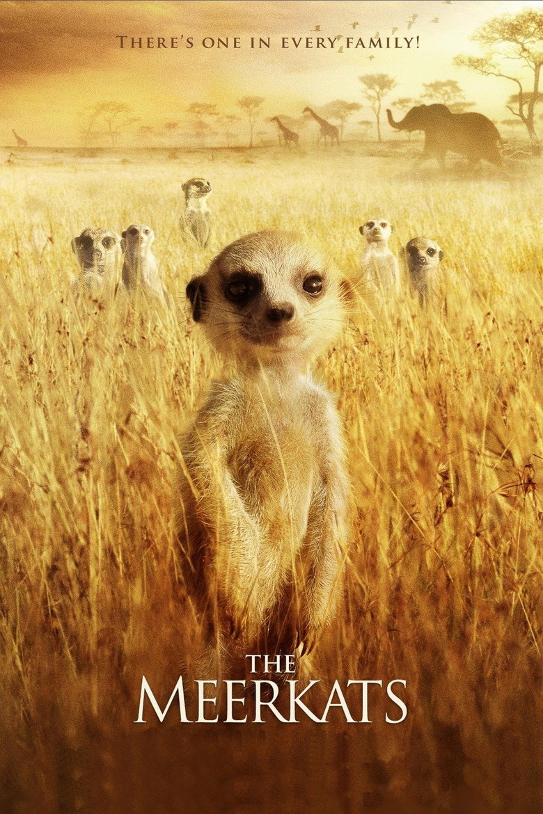 The Meerkats (2008) — affiche film