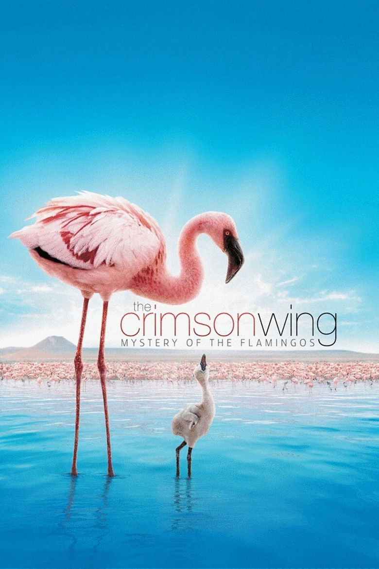 The Crimson Wing: Mystery of the Flamingos (2008) — affiche film et bande-annonce