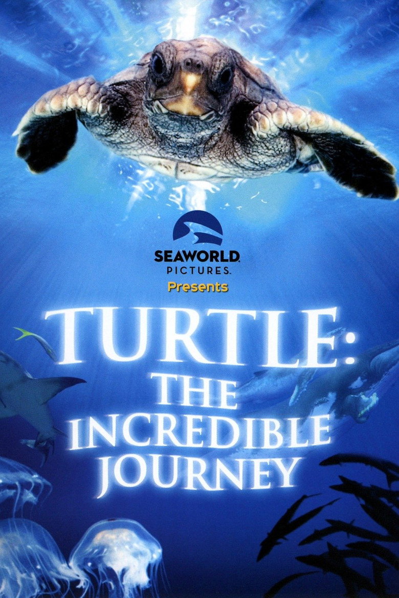 Turtle: The Incredible Journey (2008) — affiche film et bande-annonce
