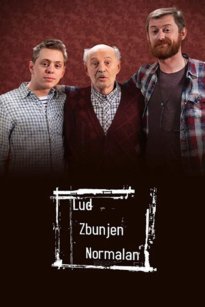 Crazy, Confused, Normal (2007) — affiche série
