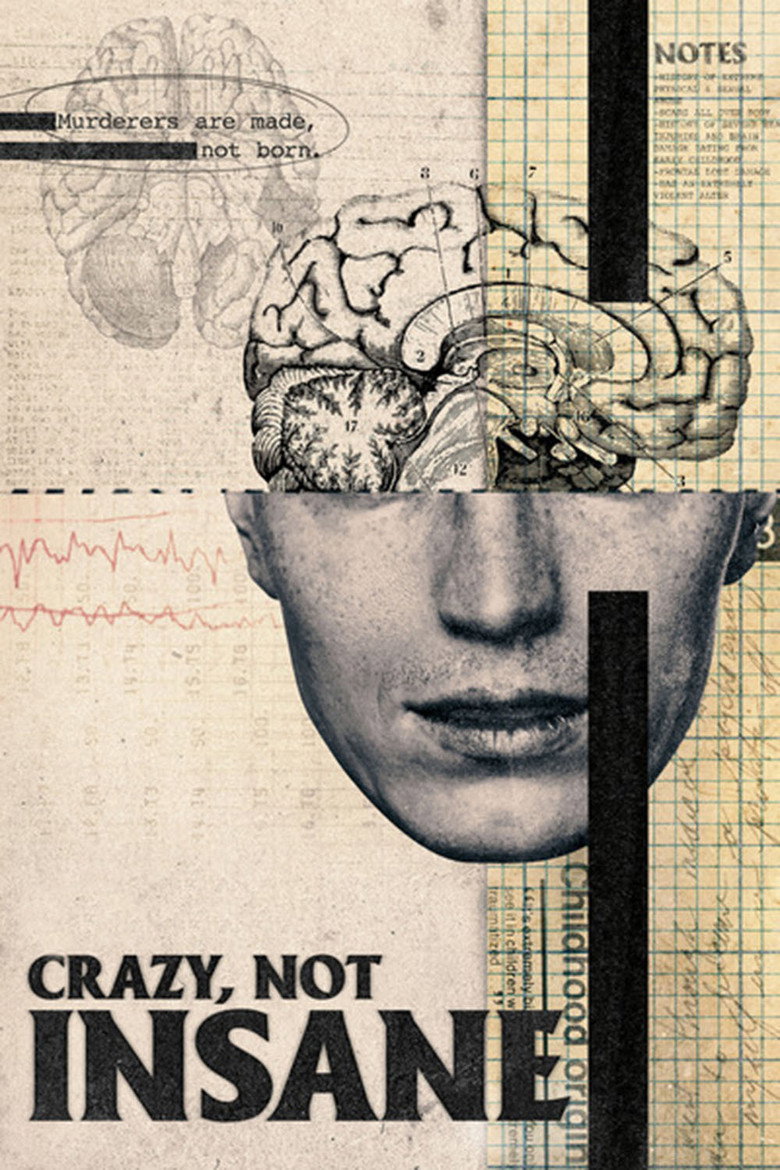 Crazy, Not Insane (2020) — affiche film et bande-annonce