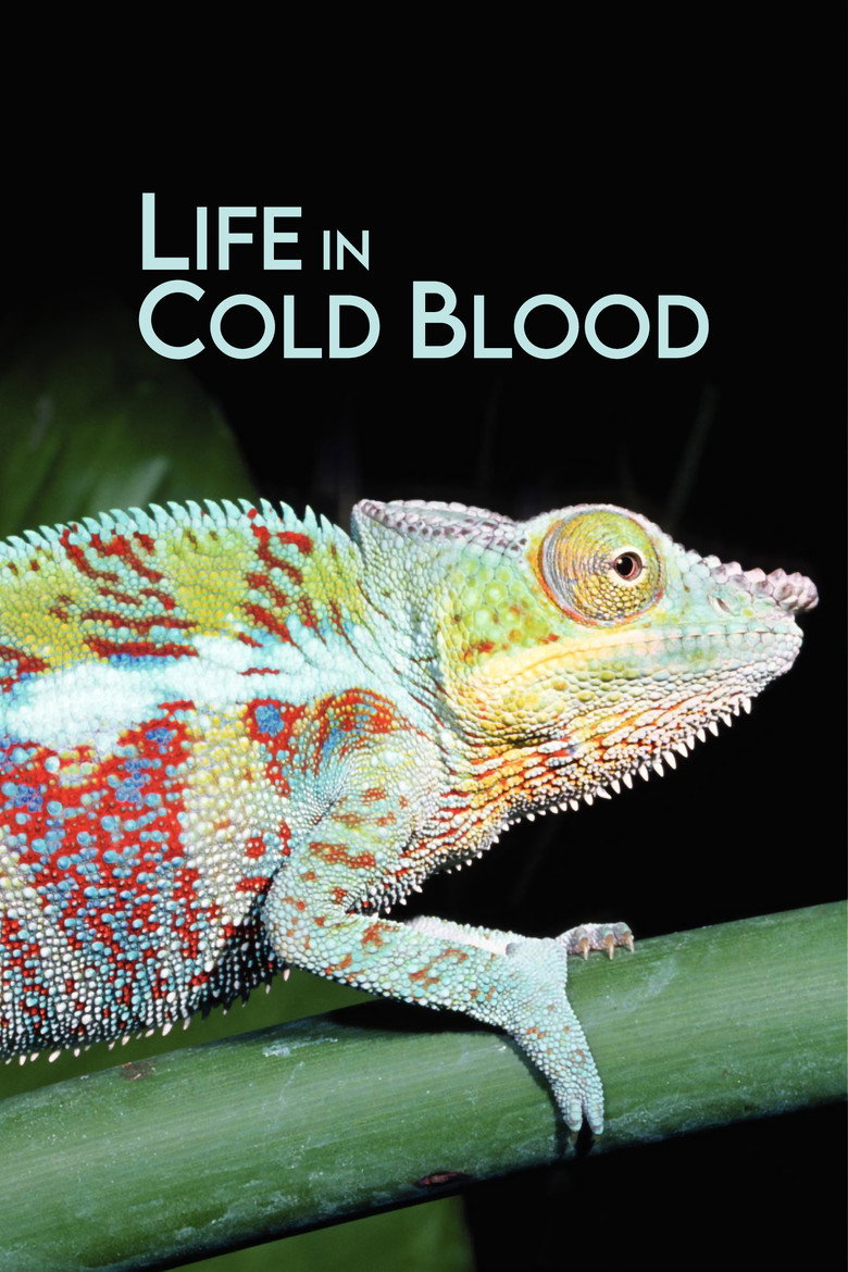 Life in Cold Blood (2008) — affiche série