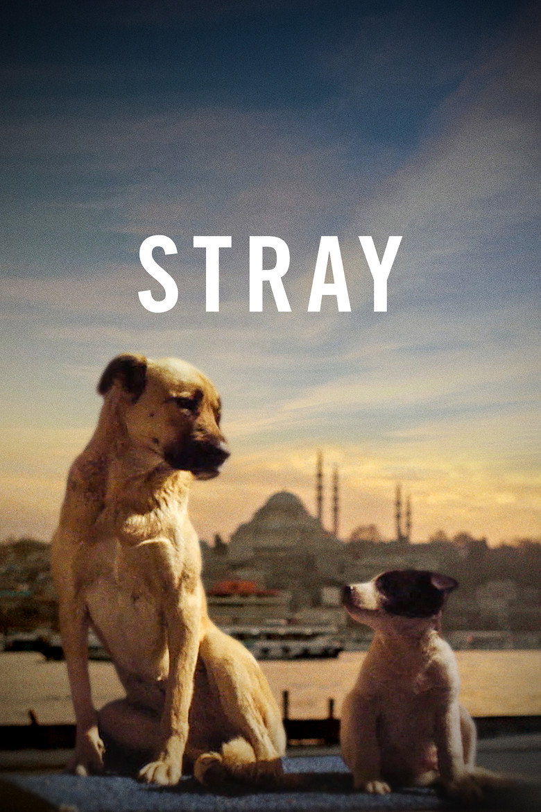 Stray (2020) — affiche film et bande-annonce
