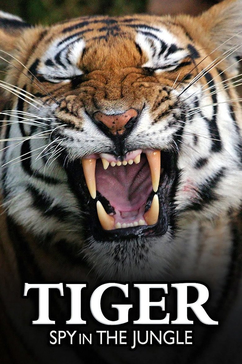 Tiger: Spy in the Jungle (2008) — affiche série