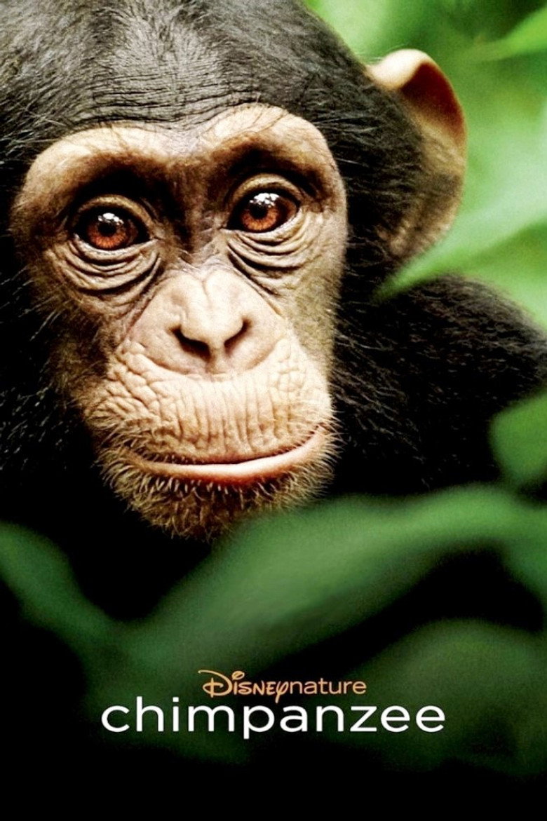 Chimpanzee (2011) — affiche film et bande-annonce