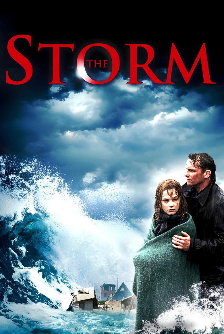 De storm (2009) — affiche film