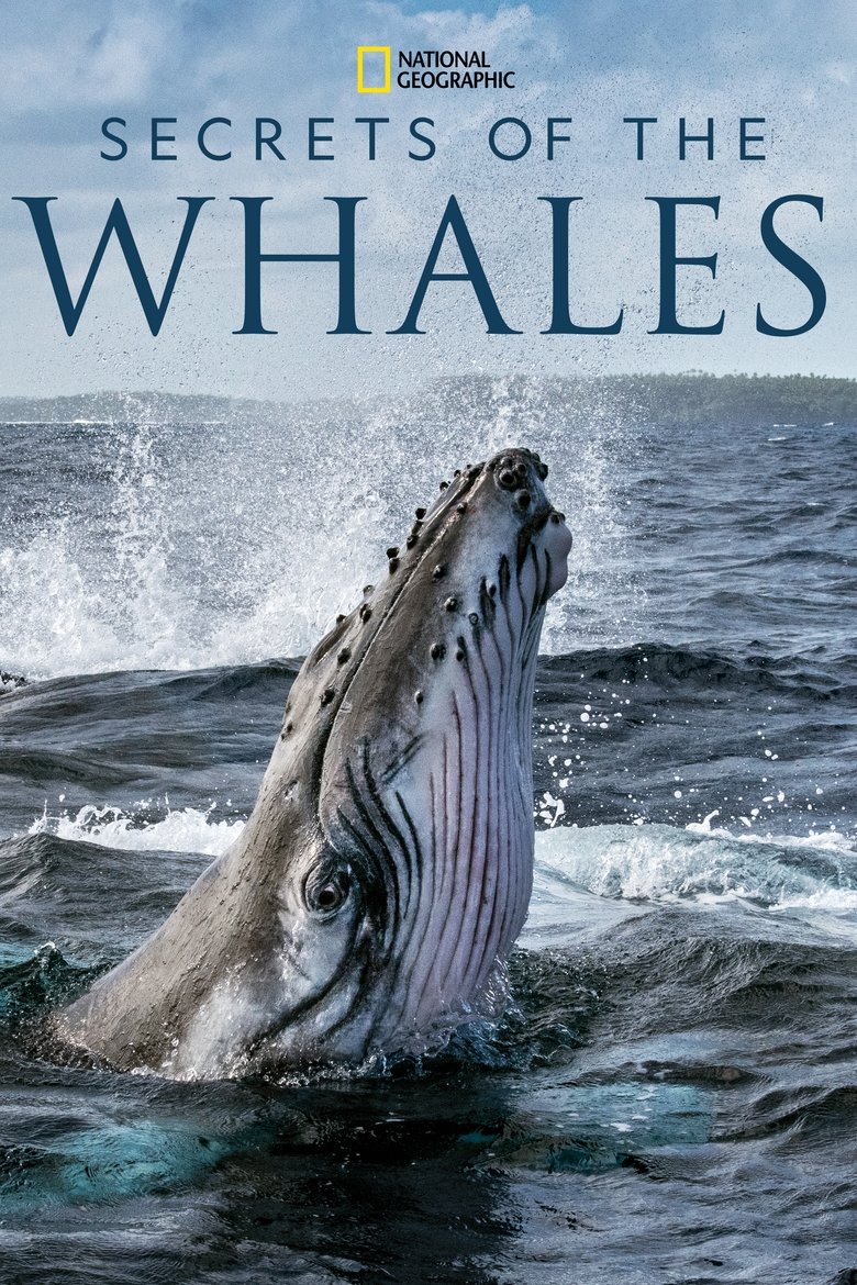 Secrets of the Whales (2021) — affiche série et bande-annonce