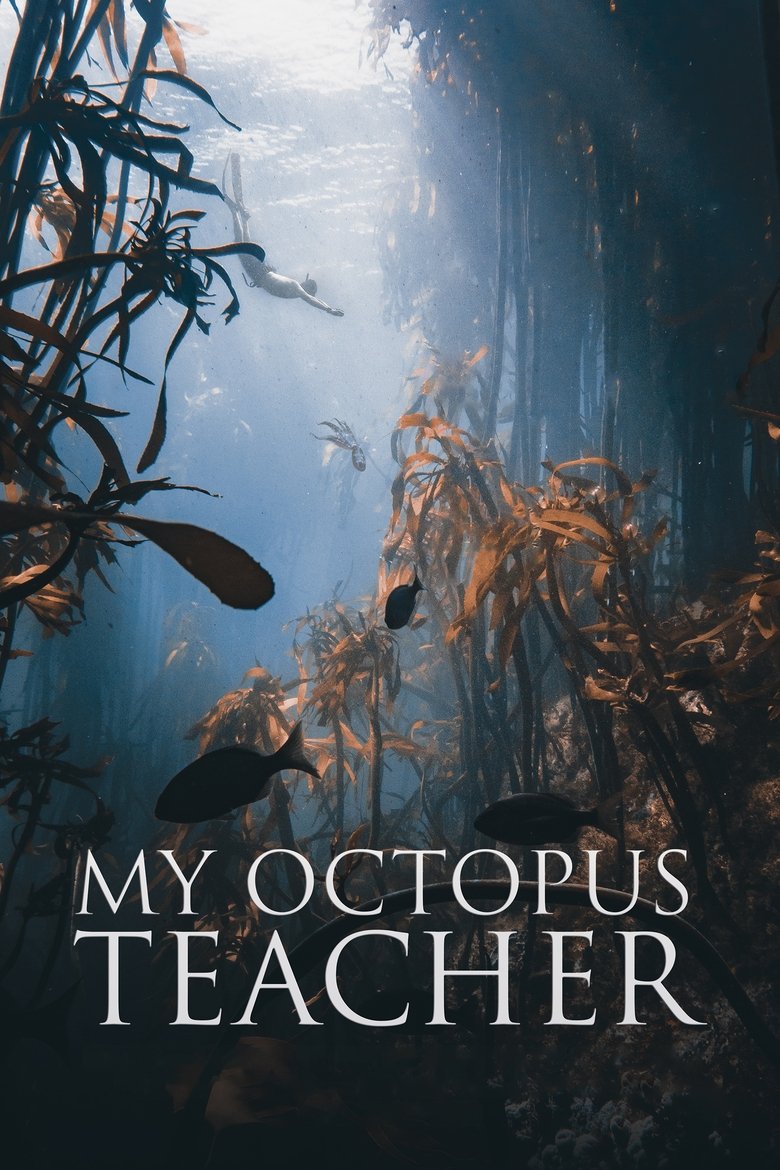 My Octopus Teacher (2020) — affiche film et bande-annonce