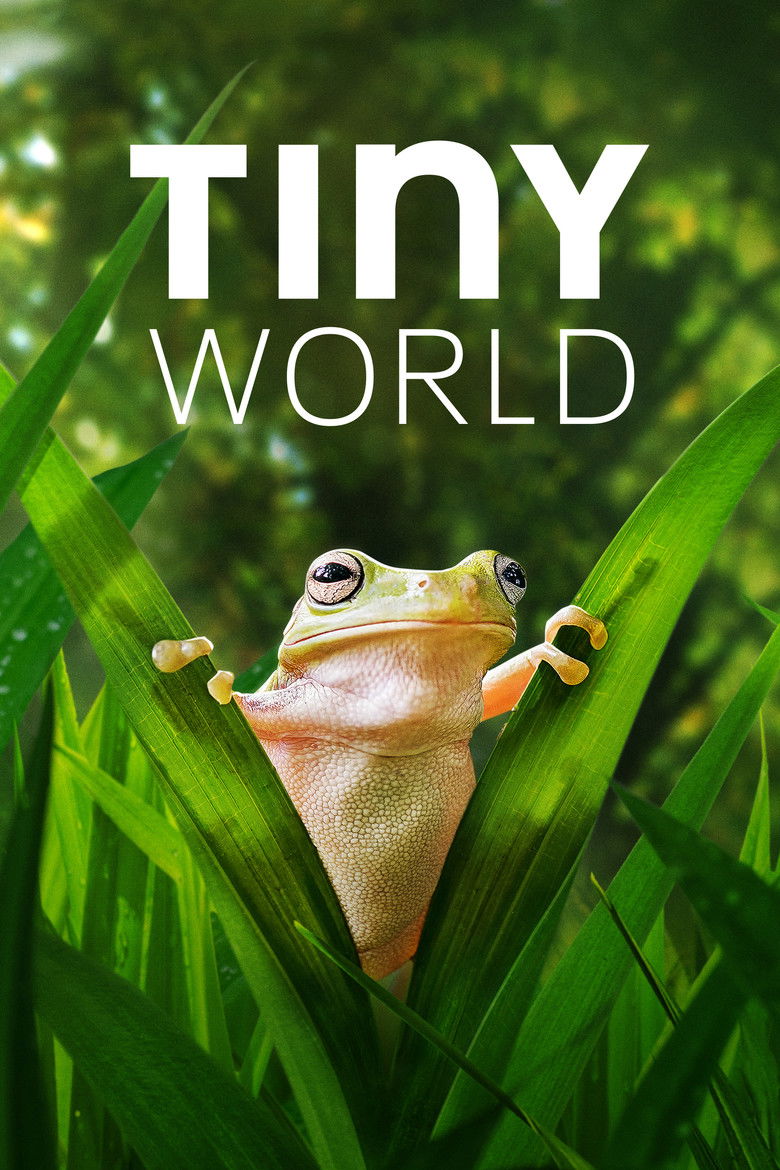 Tiny World (2020) — affiche série et bande-annonce