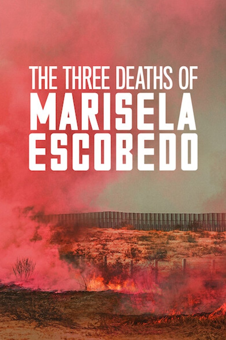 The Three Deaths of Marisela Escobedo (2020) — affiche film