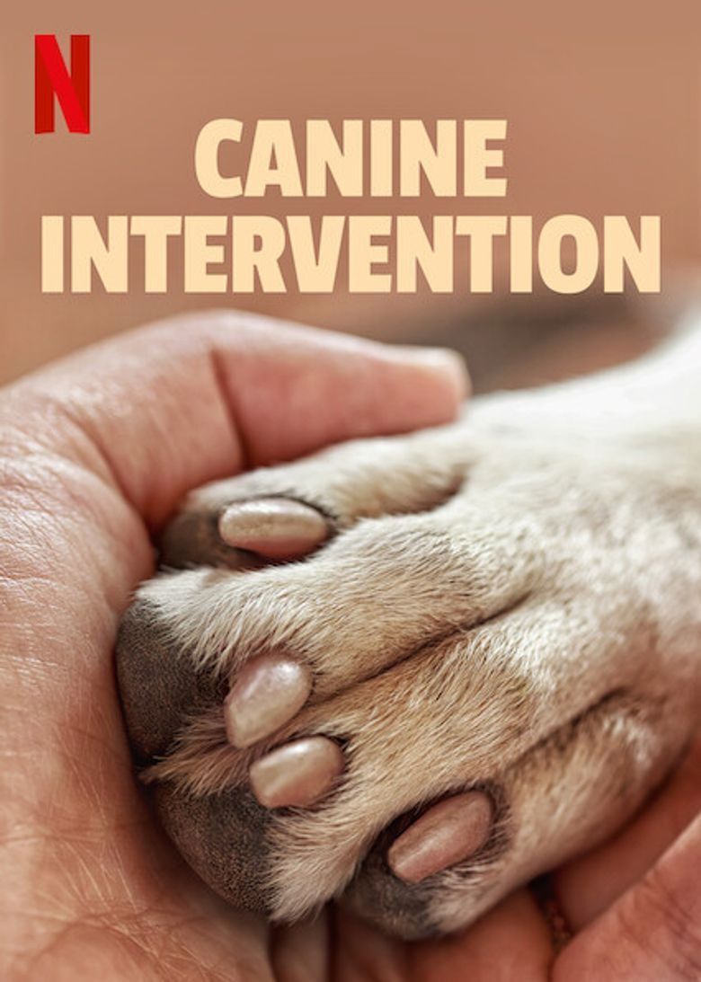 Canine Intervention (2021) — affiche série et bande-annonce