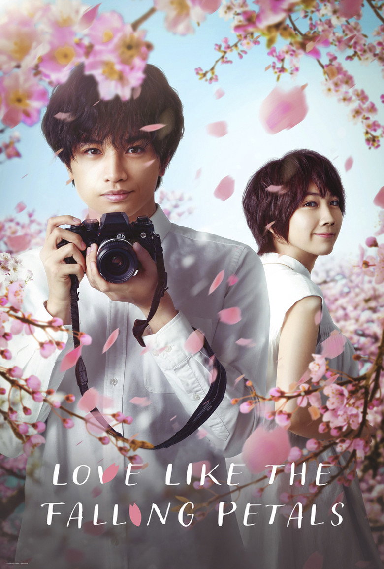 Love Like the Falling Petals (2022) — affiche film et bande-annonce