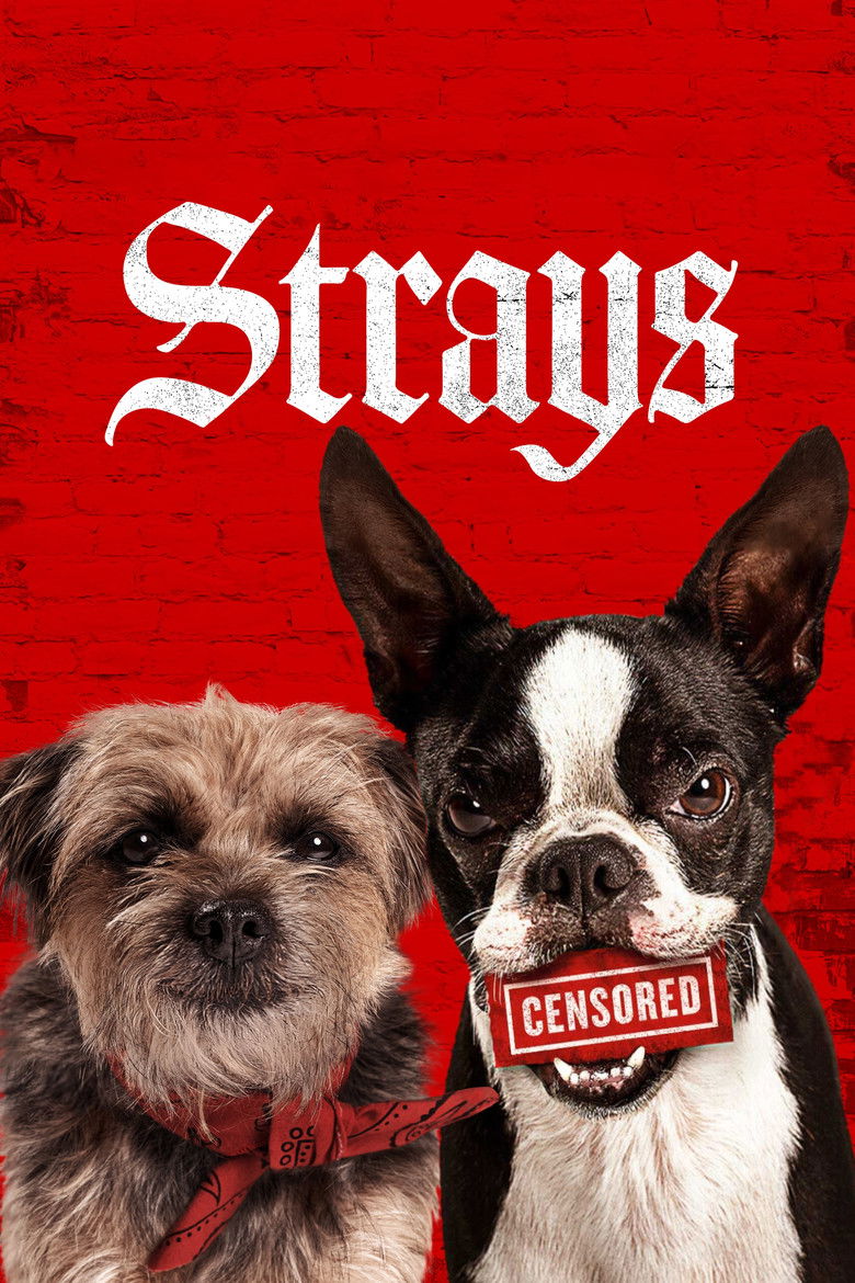 Strays (2023) — affiche film et bande-annonce