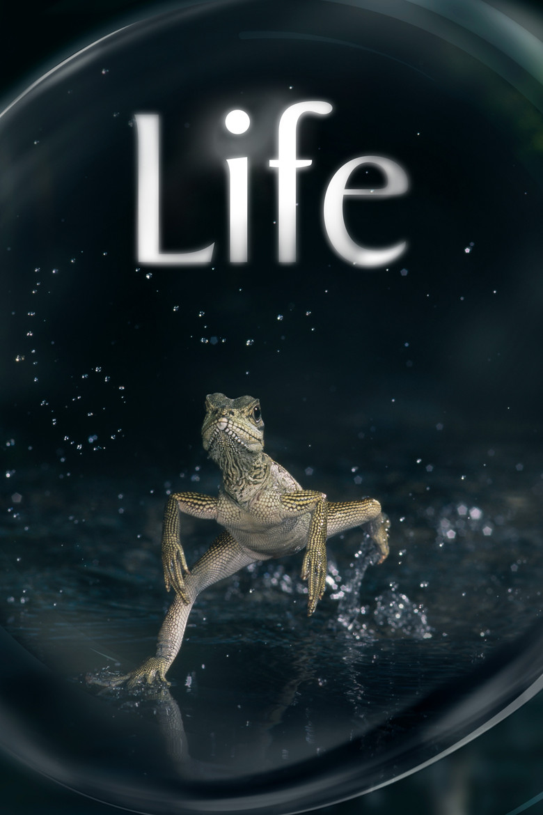 Life (2009) — affiche série et bande-annonce