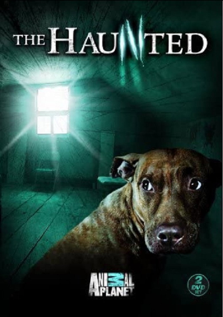 The Haunted (2009) — affiche série