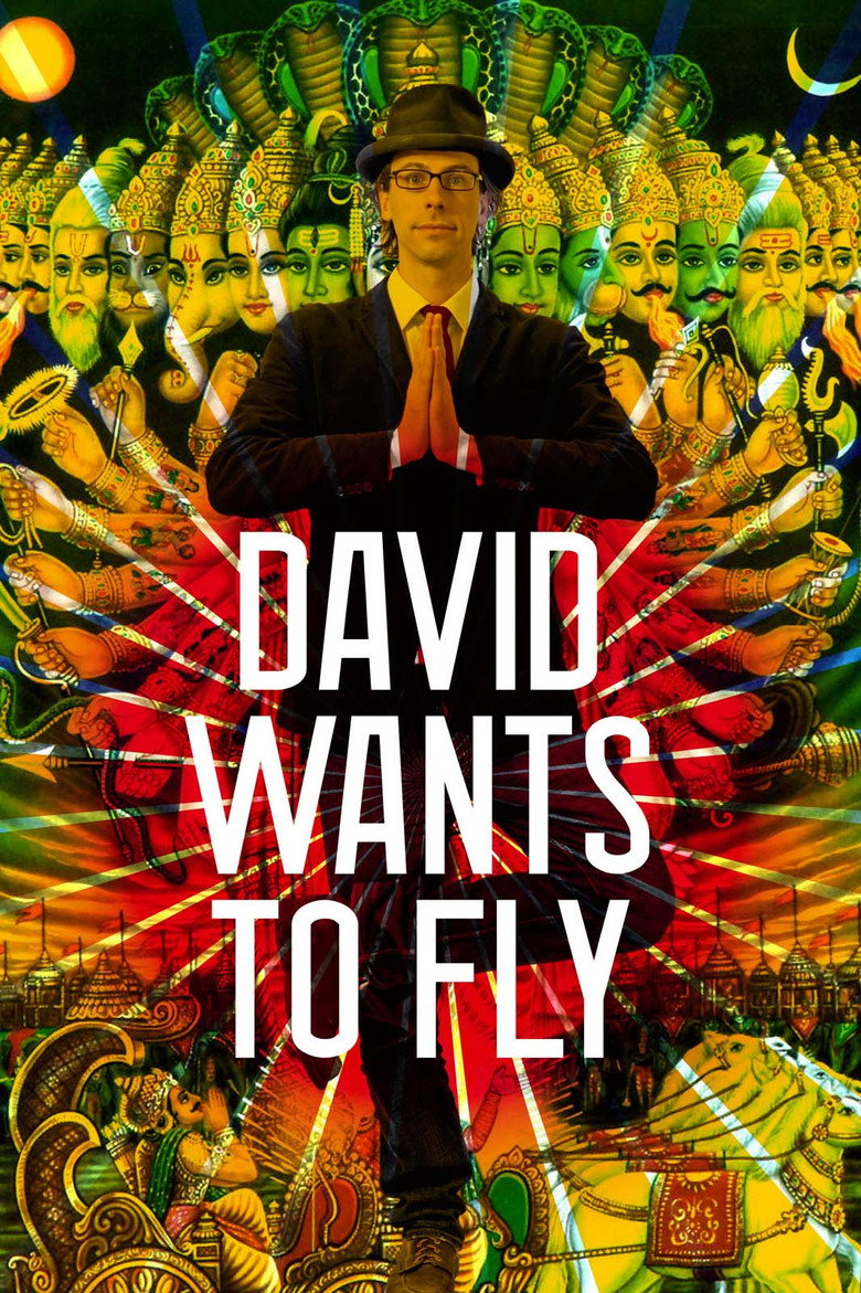 David Wants to Fly (2010) — affiche film et bande-annonce