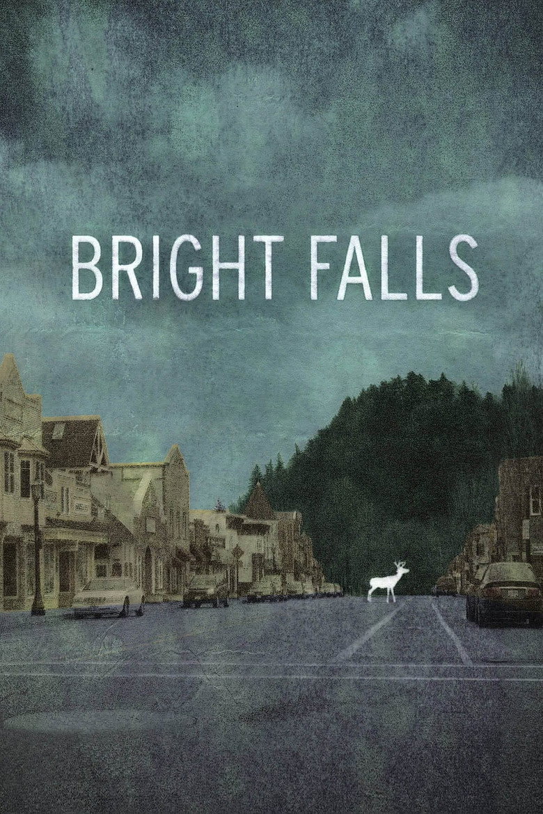 Bright Falls (2010) — affiche série