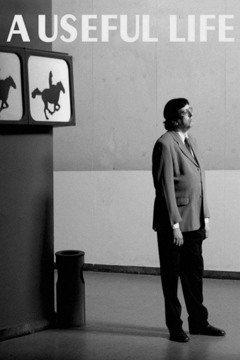 A Useful Life (2010) — affiche film