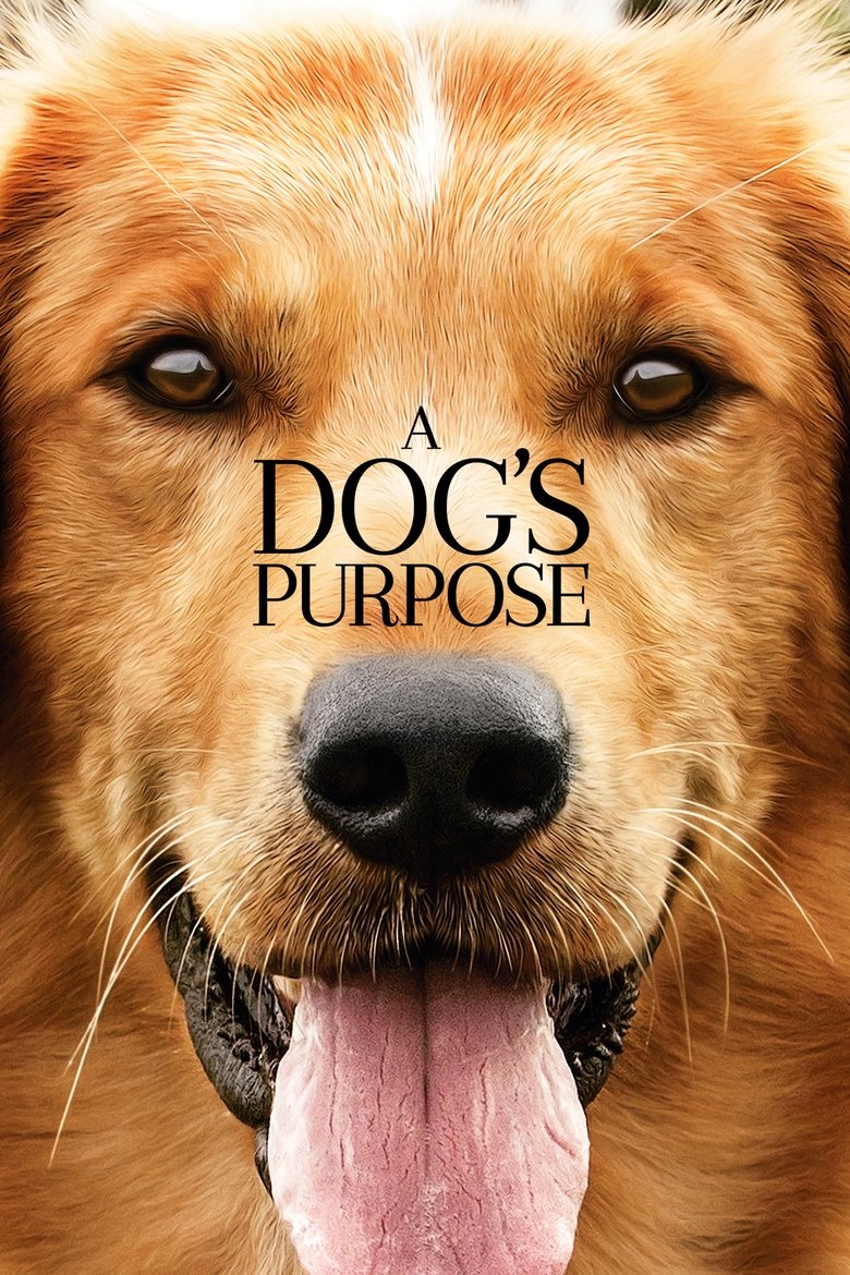 A Dog's Purpose (2017) — affiche film et bande-annonce