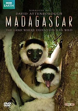 Madagascar (2011) — affiche série