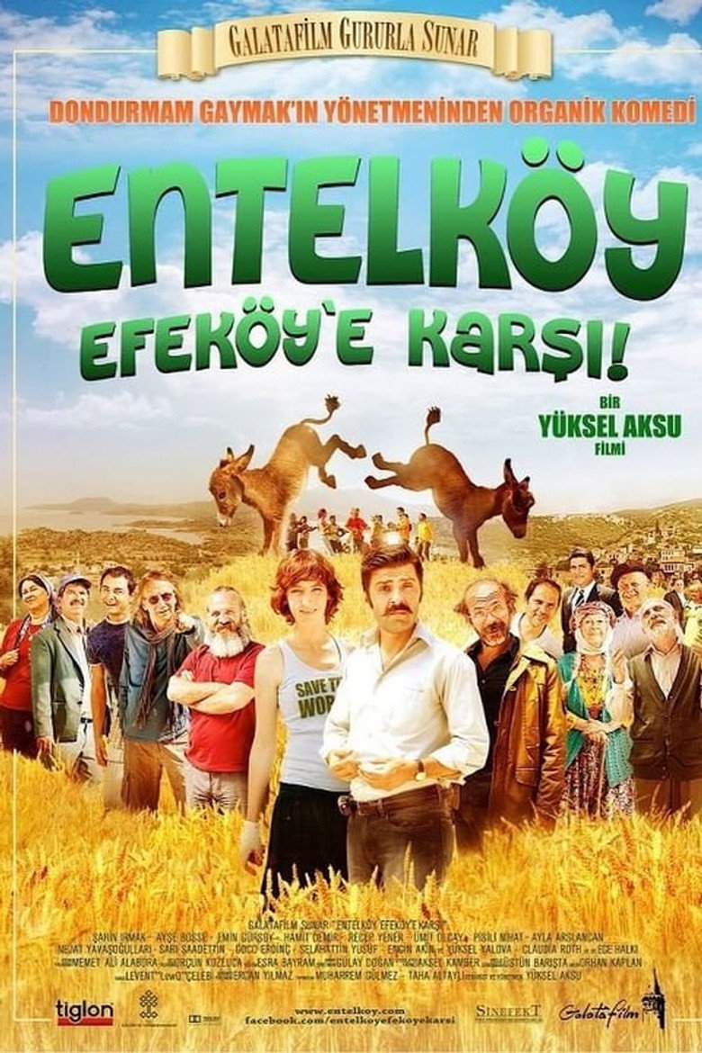 Entelköy Efeköy'e Karsi (2011) — affiche film