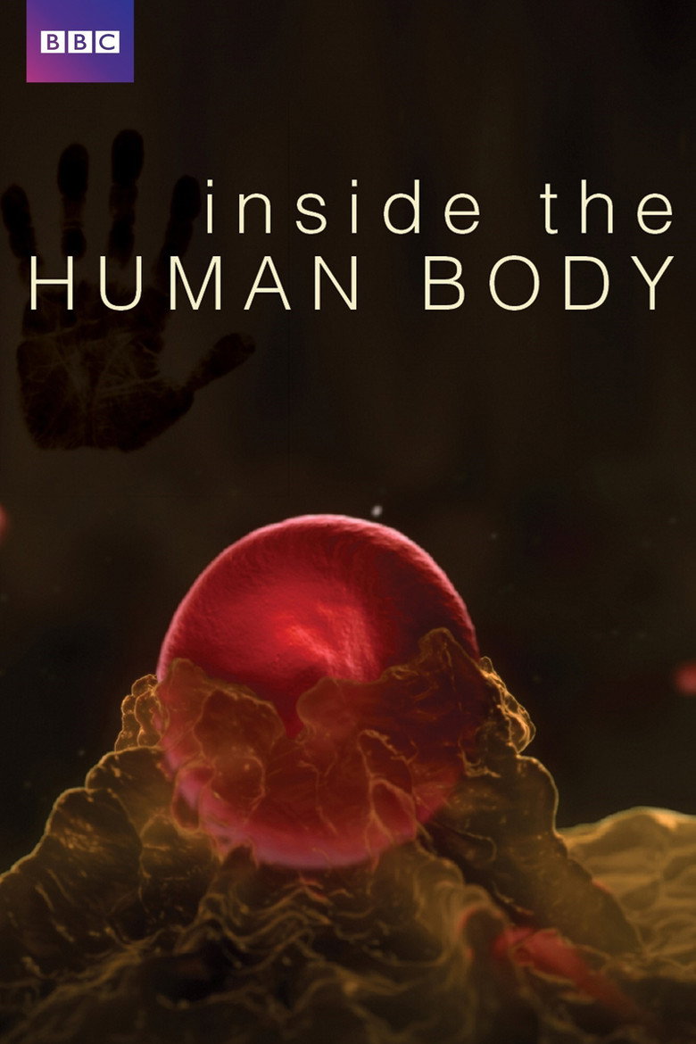 Inside the Human Body (2011) — affiche série et bande-annonce