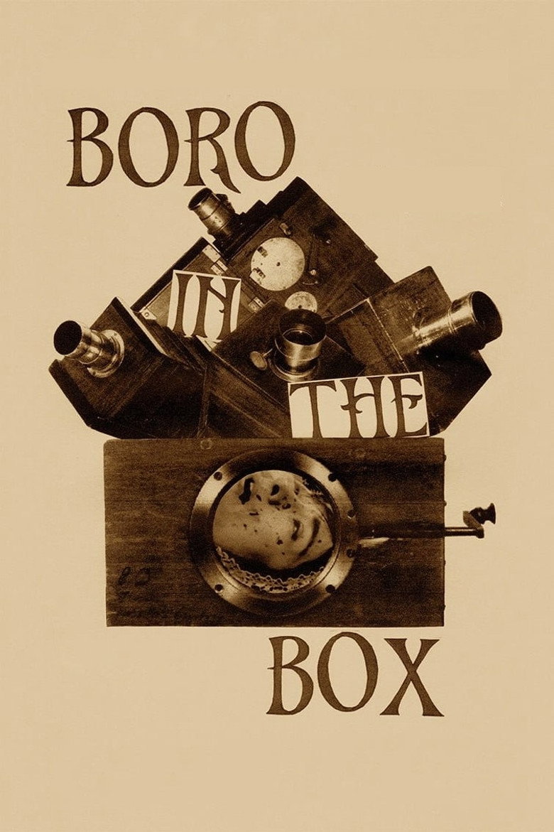Boro in the Box (2011) — affiche film