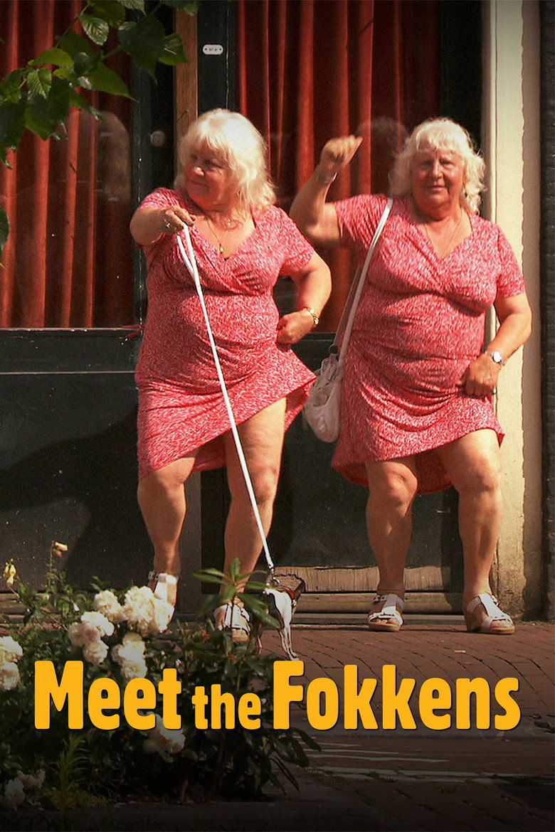 Meet the Fokkens (2011) — affiche film