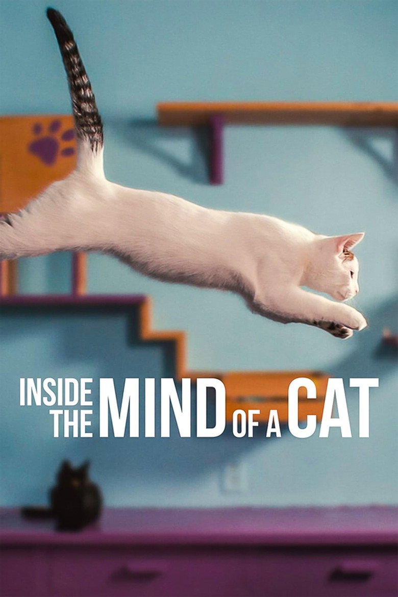 Inside the Mind of a Cat (2022) — affiche film et bande-annonce