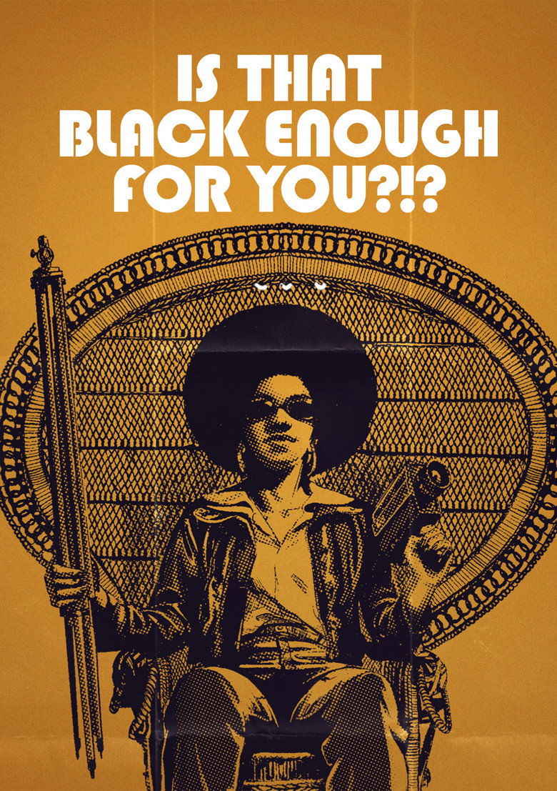 Is That Black Enough for You?!? (2022) — affiche film et bande-annonce