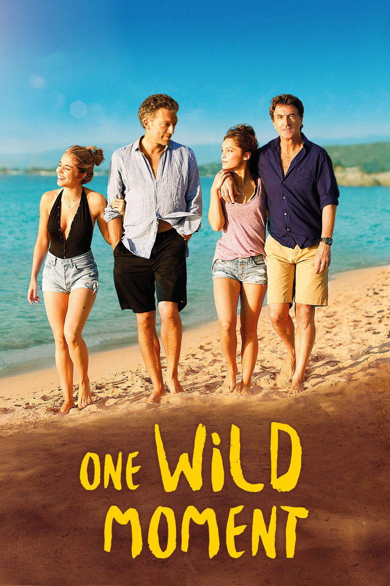 One Wild Moment (2015) — affiche film et bande-annonce