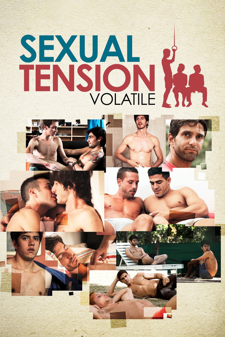 Sexual Tension: Volatile (2012) — affiche film