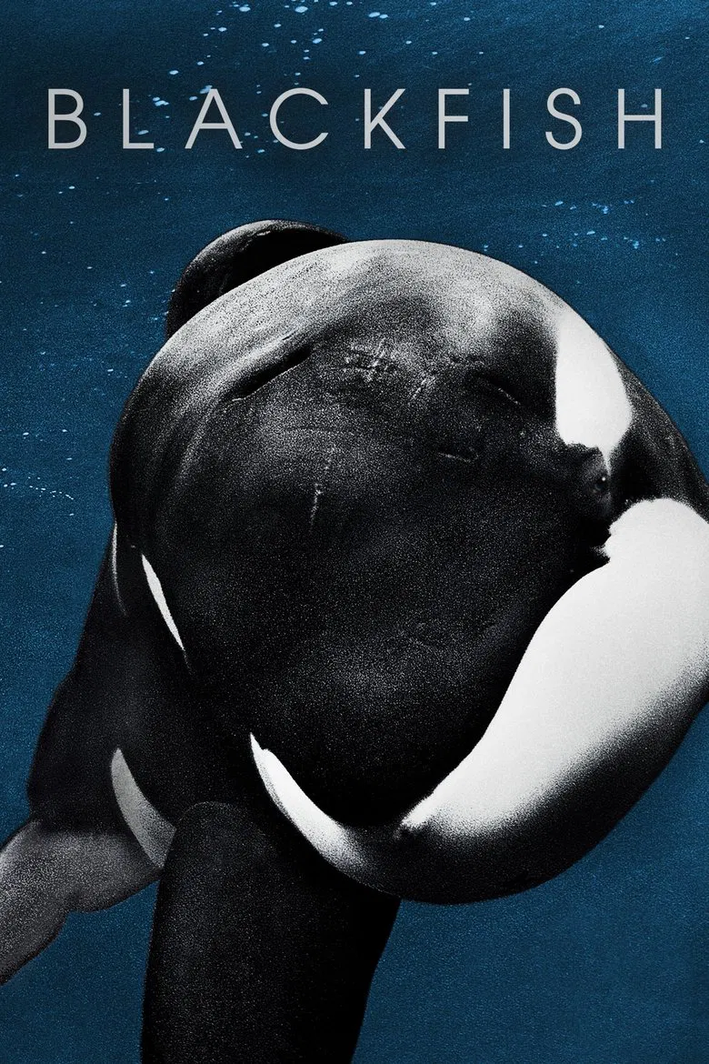Blackfish (2013) — affiche film et bande-annonce