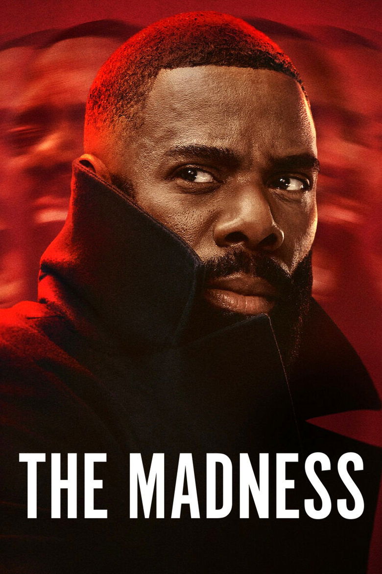 The Madness (2024) — affiche série et bande-annonce