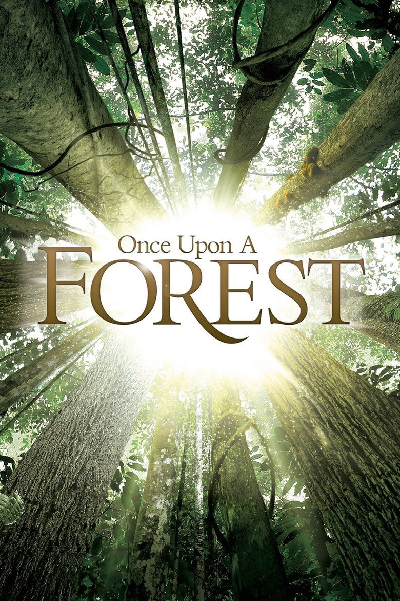Il était une forêt (2013) — affiche film