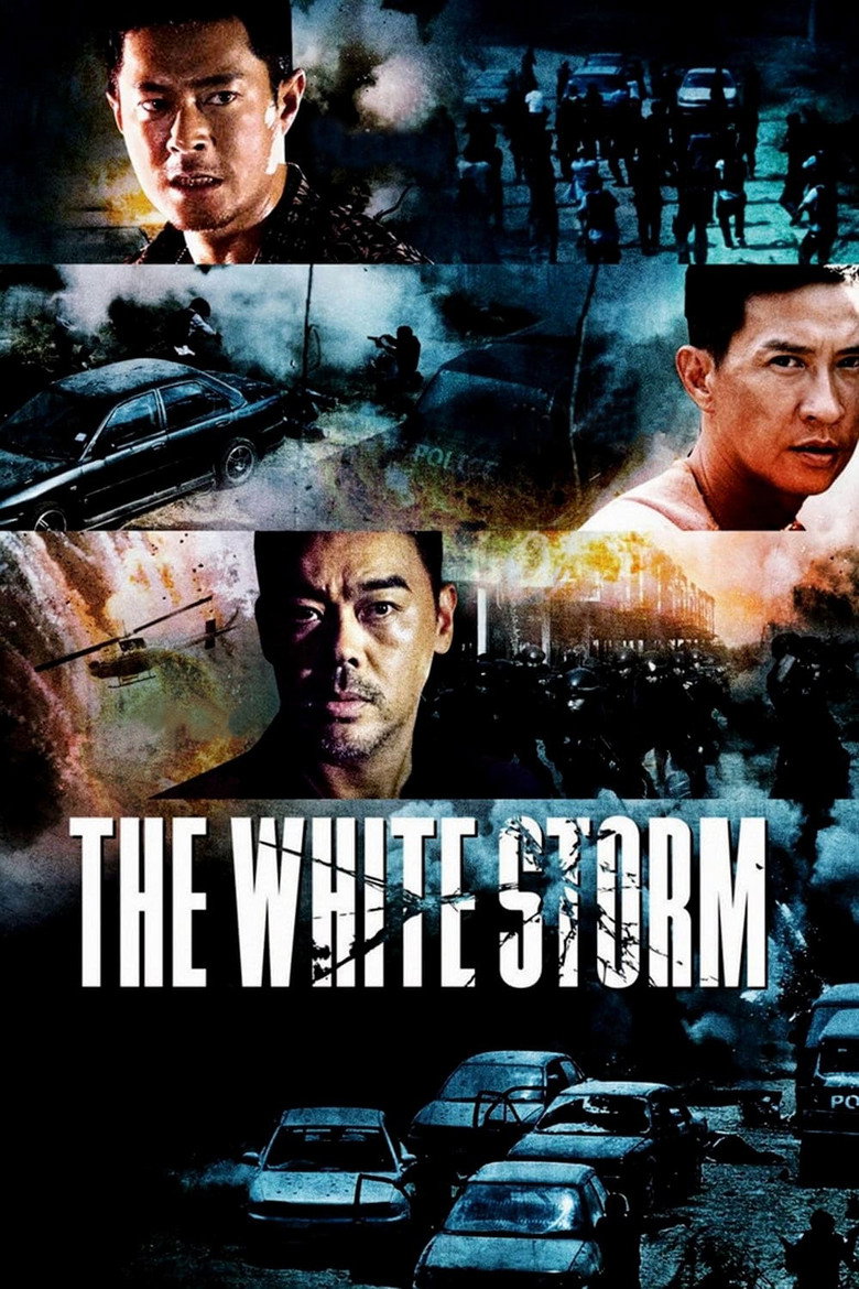 The White Storm (2013) — affiche film et bande-annonce