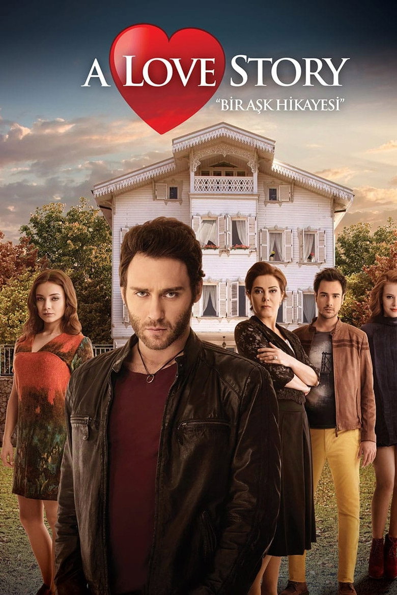 Bir Ask Hikayesi (2013) — affiche série