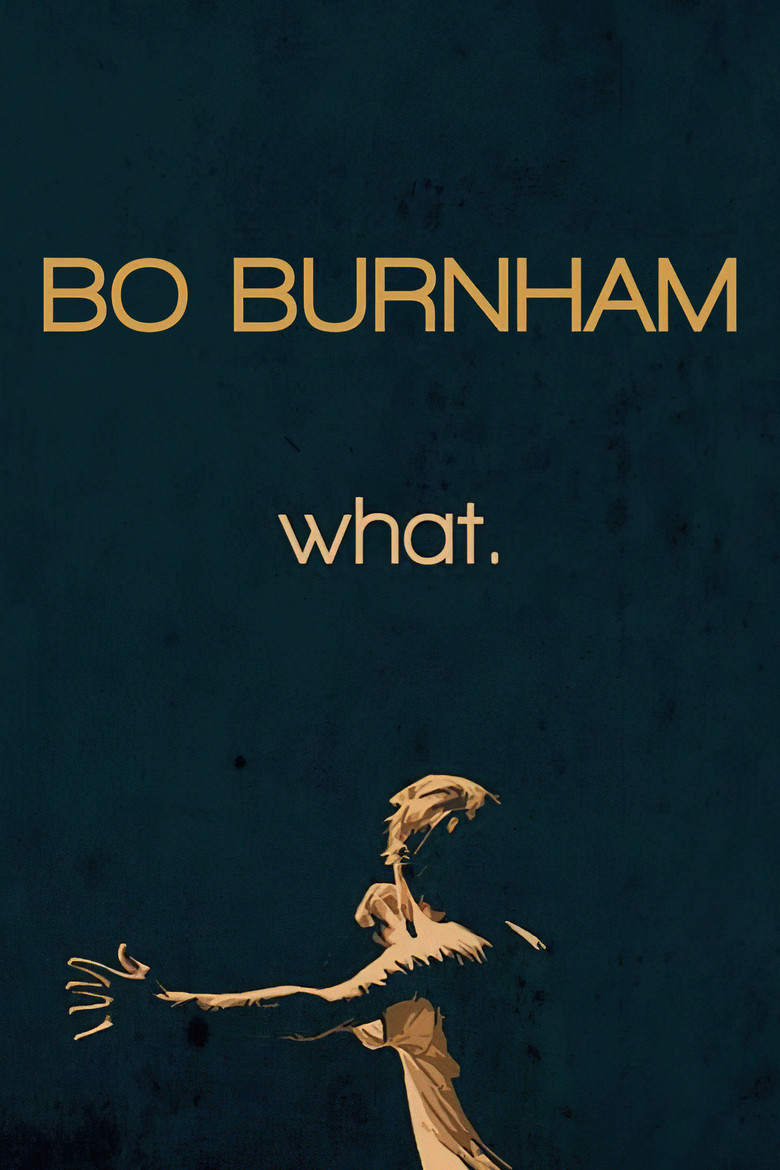 Bo Burnham: what. (2013) — affiche film et bande-annonce