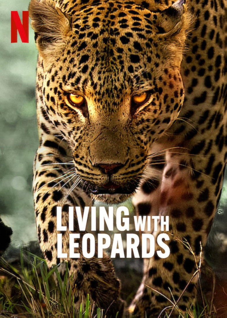 Living with Leopards (2024) — affiche film et bande-annonce