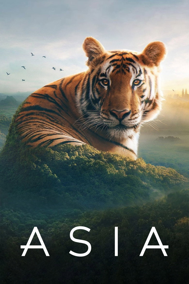 Asia (2024) — affiche série et bande-annonce