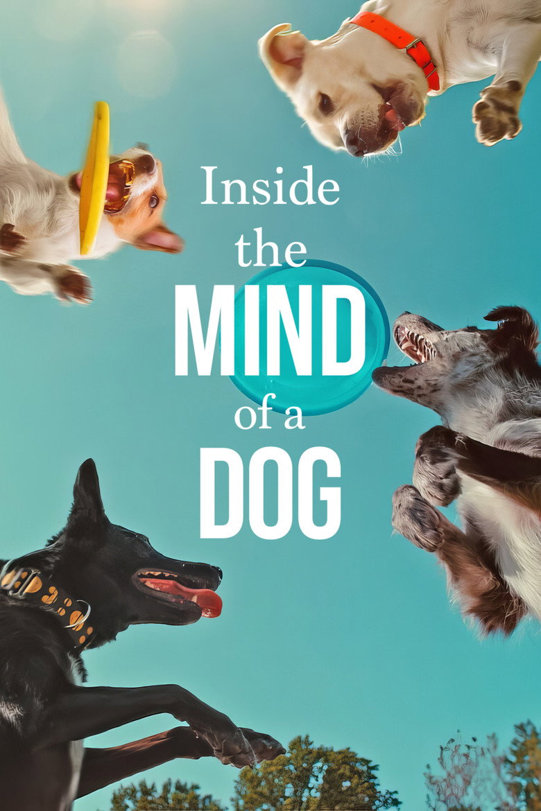 Inside the Mind of a Dog (2024) — affiche film et bande-annonce
