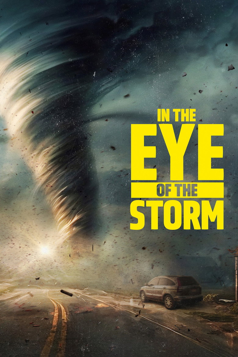 In the Eye of the Storm (2024) — affiche série et bande-annonce