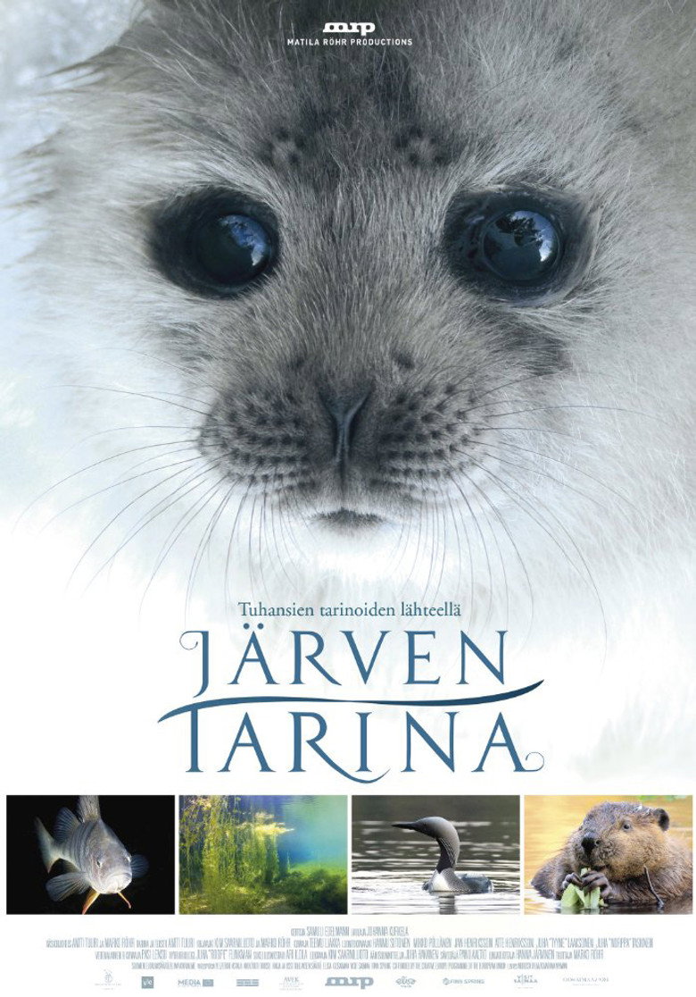 Tale of a Lake (2016) — affiche film